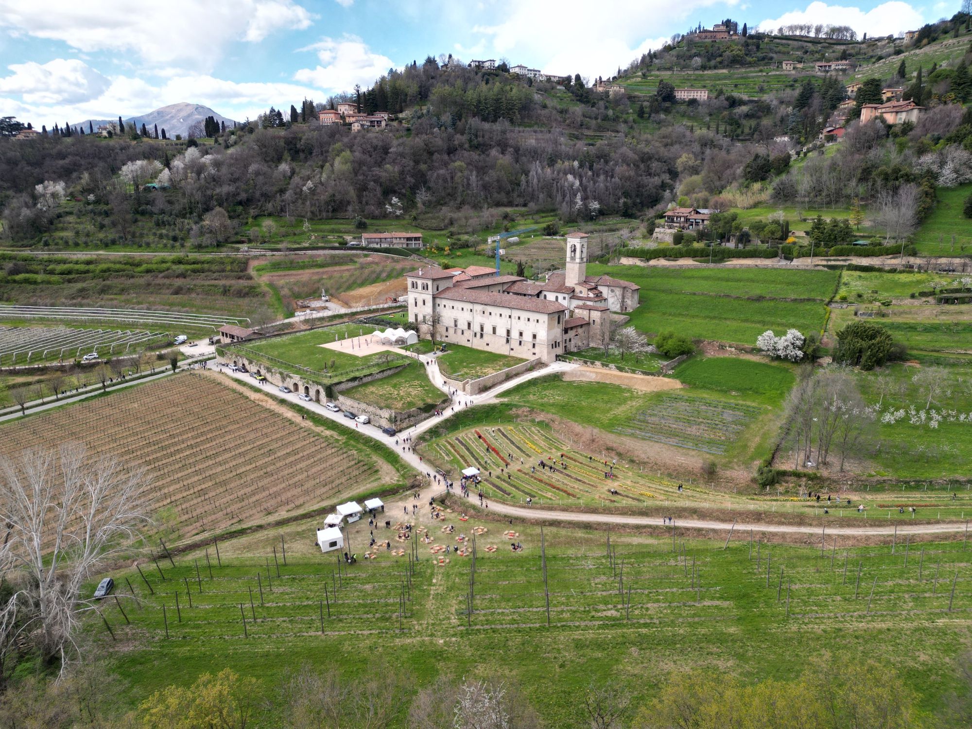 La Val d'Astino con il Monastero e il campo di tulipani, vista dall'alto