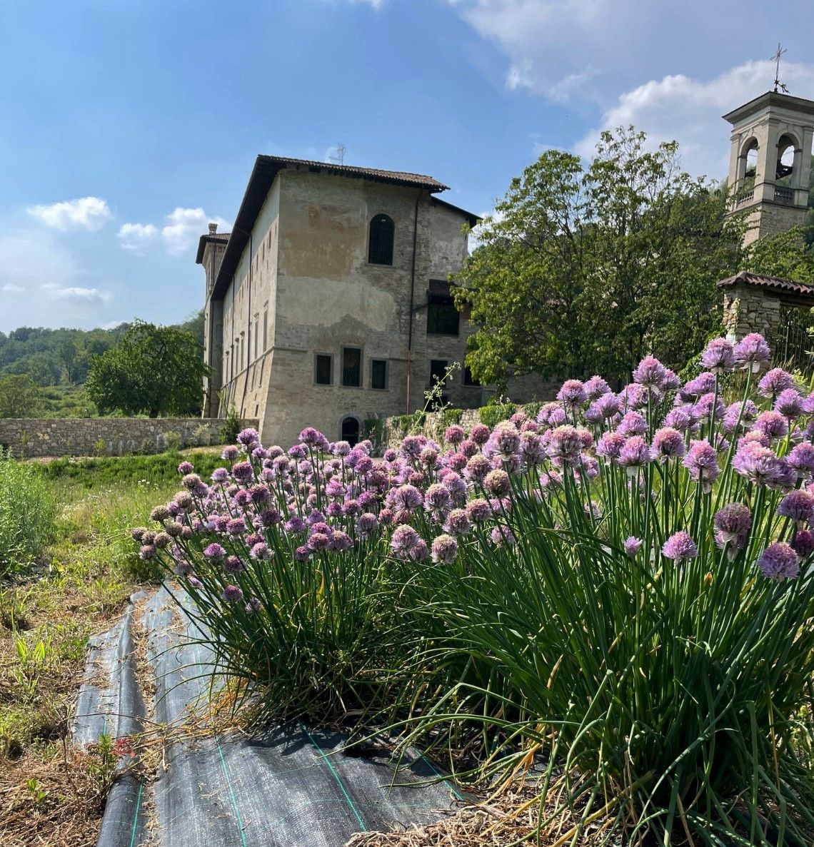 Il Monastero di Astino con erbe aromatiche in fiore